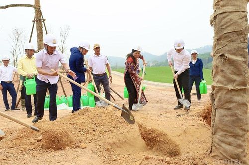 Tập đoàn T&T phát động lễ trồng cây phủ xanh sân golf
