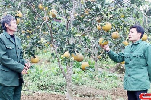 Phát huy phẩm chất Bộ đội Cụ Hồ