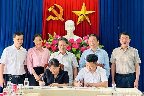 Kết nối cung cầu hàng hóa với một số tỉnh miền Trung, Tây Nguyên