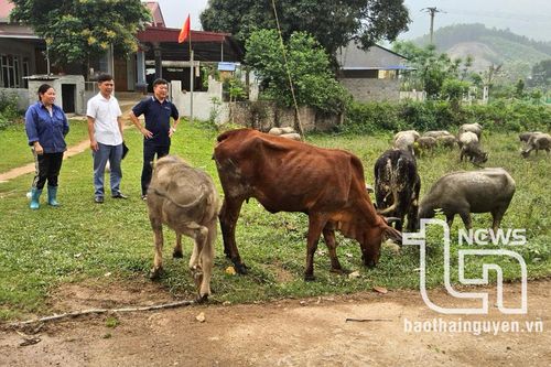 Dồn lực cùng Văn Lăng thoát nghèo