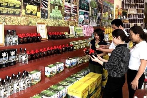 Không để nhân lực là rào cản của kinh tế tập thể