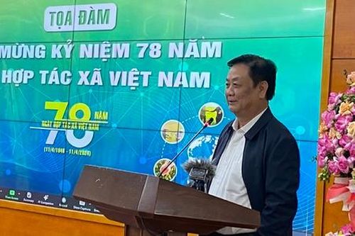 Để HTX không 'cô đơn' trên hành trình làm nông nghiệp hiện đại