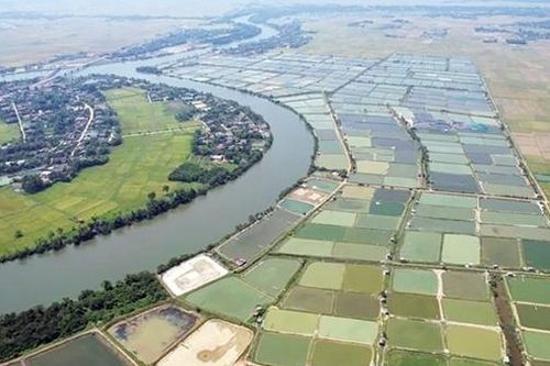 Quảng Trị: Hàng loạt cơ sở gây ô nhiễm môi trường nghiêm trọng