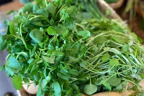 Loại rau được đánh giá 'bẩn nhất' nhưng có thể giúp ngăn ngừa ung thư
