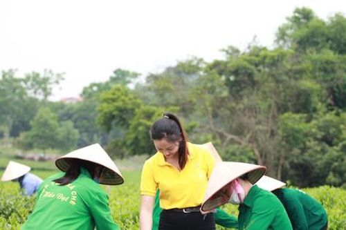 Ra mắt nền tảng buudien.vn chuyên về nông, lâm, thủy sản