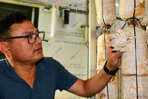 Chiến lược bán hàng độc đáo của ông chủ trại nấm: Gần nửa tỷ đồng doanh thu mỗi năm
