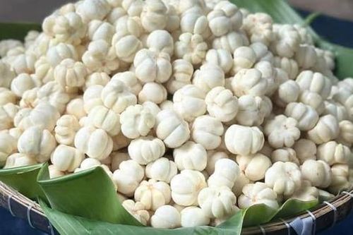 Người Hà Nội săn lùng măng cụt xanh làm 'gỏi gà bất bại', giá lên tới gần 1 triệu đồng/kg