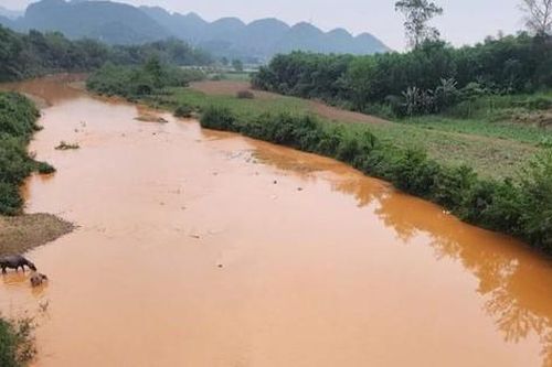 Truy tìm nguyên nhân khiến sông Nậm Tôn bỗng chuyển đục vàng