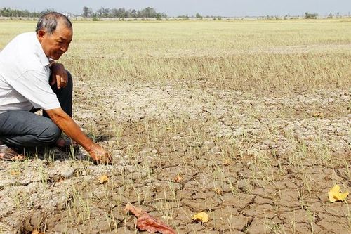 Chuyên gia đánh cược nếu 'dị nhân' cầu được mưa sẽ trả 100 triệu đồng