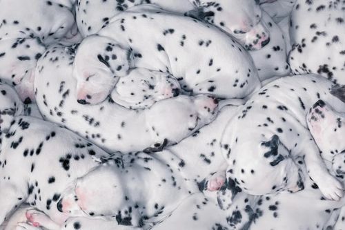 Bức ảnh hơn nghìn lời nói