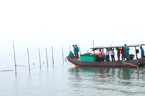 Xử lý nghiêm việc lấn chiếm bãi triều để nuôi trồng thủy sản trái phép