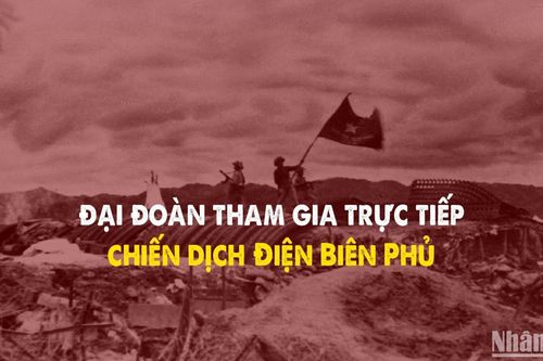 Những đại đoàn nào tham gia trực tiếp Chiến dịch Điện Biên Phủ? Mật danh là gì?