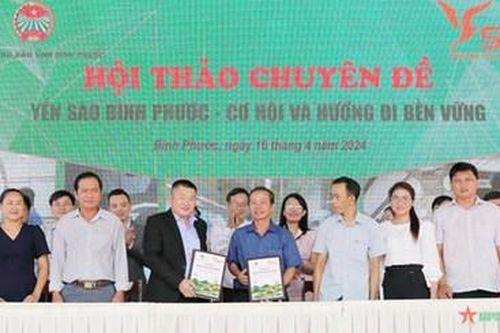 Bình Phước đẩy mạnh phát triển mô hình nuôi chim yến