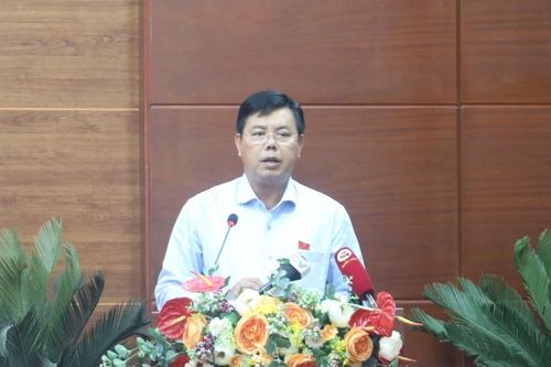 Cà Mau: Kiên quyết thu hồi dự án 'treo'