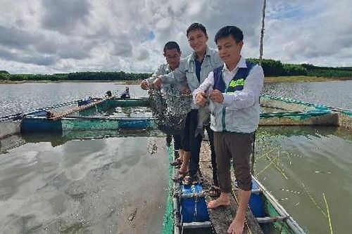 Ra hồ nước nhân tạo ở Quảng Trị nuôi cá đặc sản to bự