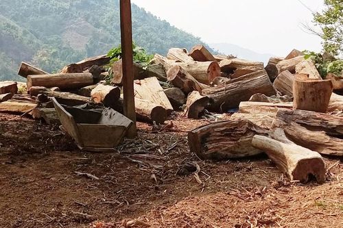 Hạt trưởng Kiểm lâm Mường Lát nhận khuyết điểm về phát ngôn với báo chí