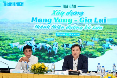 Bàn phương án xây dựng Mang Yang thành 'thiên đường' bò sữa ở Gia Lai