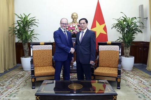 Bộ trưởng Ngoại giao Bùi Thanh Sơn tiếp Quốc vụ khanh Tây Ban Nha Diego Martinez Belío