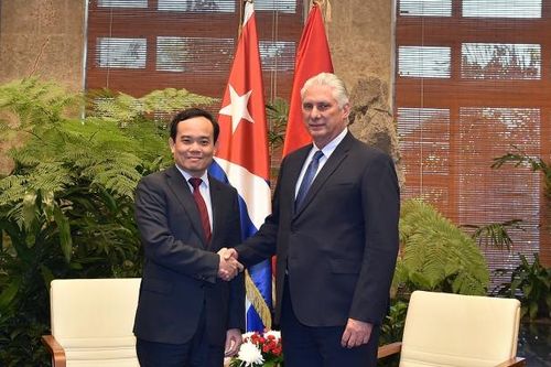 Triển khai hiệu quả các dự án hợp tác, góp phần thắt chặt quan hệ hữu nghị và hợp tác toàn diện Việt Nam-Cuba