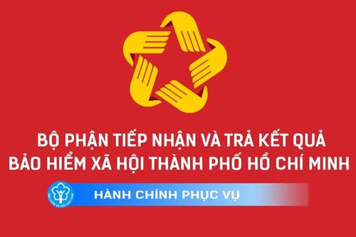 BHXH Việt Nam: Hướng dẫn về việc sử dụng bộ nhận diện thương hiệu của Bộ phận Một cửa
