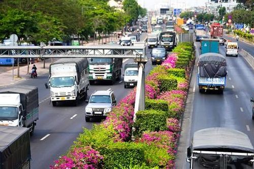Hoa giấy rực rỡ giữa tiết trời nắng gắt trên quốc lộ 1A