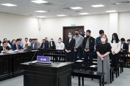 Vụ thâu tóm đất đấu giá ở Đông Anh: Luật sư giao nộp hơn 80 bộ tài liệu, chứng cứ