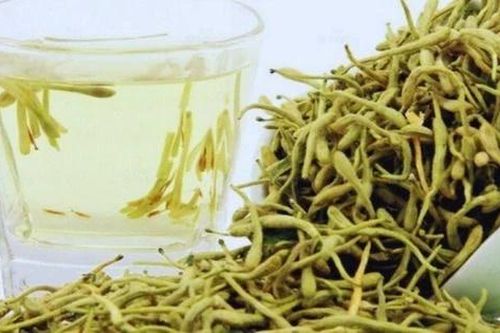 Chữa ngứa da theo đông y