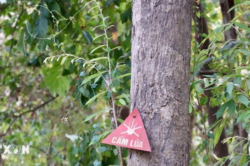Điện Biên: Nắng nóng, khô hanh tiếp diễn, cháy rừng ở cấp cực kỳ nguy hiểm