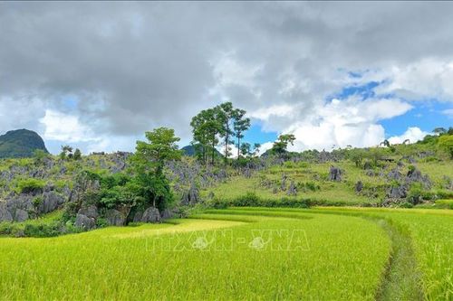 Phát huy tiềm năng du lịch Tủa Chùa, Điện Biên
