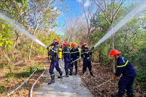 Diễn tập phương án chữa cháy Khu Bảo tồn loài - sinh cảnh Vườn chim Bạc Liêu