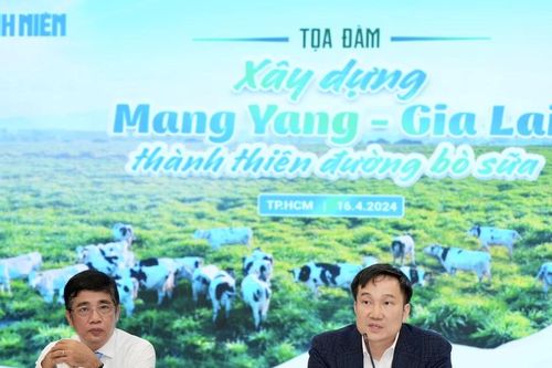 Gia Lai có tiềm năng lớn để phát triển chăn nuôi bò sữa