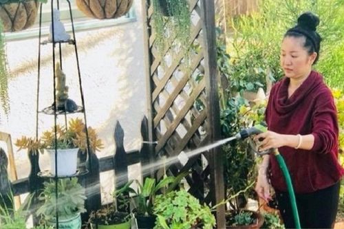 Nữ nghệ sĩ Việt nổi tiếng một thời bán trái cây, tích góp để đóng tiền học cho con ở Mỹ