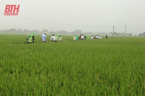 Thiệu Lý nỗ lực về đích nông thôn mới nâng cao