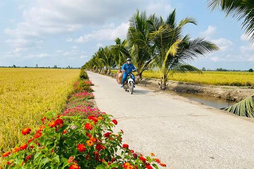 Tam Nông tập trung toàn lực quyết tâm đạt huyện nông thôn mới năm 2024