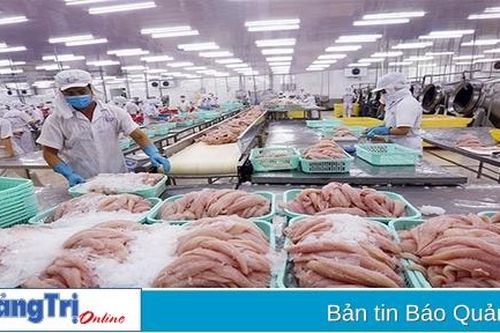 Đảm bảo an toàn thực phẩm, nâng cao khả năng cạnh tranh của nông lâm thủy sản Quảng Trị