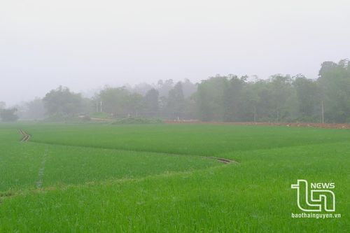 Đồng Thịnh - Nơi diễn tập thực binh đánh 'tập đoàn cứ điểm'