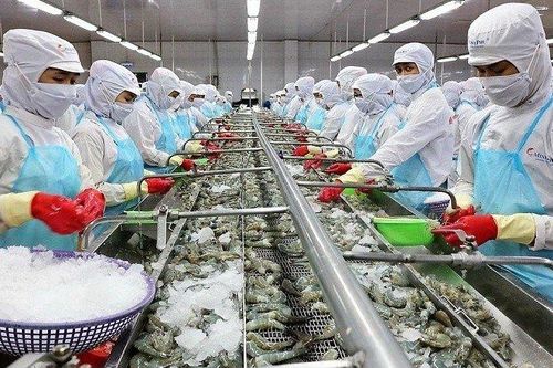 VASEP đề nghị bãi bỏ hạn ngạch thuế quan tôm đông lạnh vào Hàn Quốc