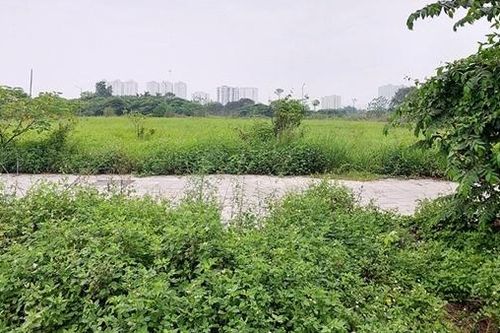 Dân 'khát' chỗ vui chơi, công viên cỏ dại lút đầu người (Bài 1)