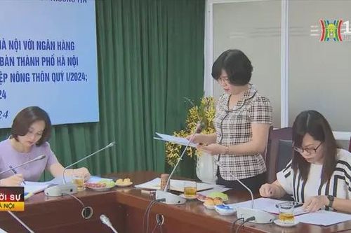 Đánh giá hoạt động tín dụng giữa phụ nữ và ngân hàng