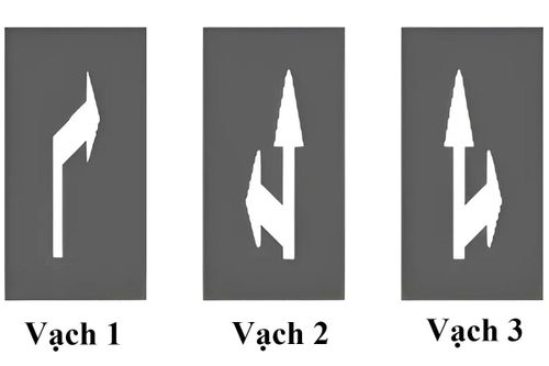 Vạch mũi tên chỉ hướng trên mặt đường nào cho phép xe đi thẳng và rẽ phải?