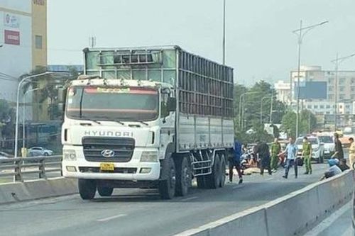 Đồng Nai: Bắt tạm giam tài xế xe tải gây tai nạn tại cầu vượt Amata