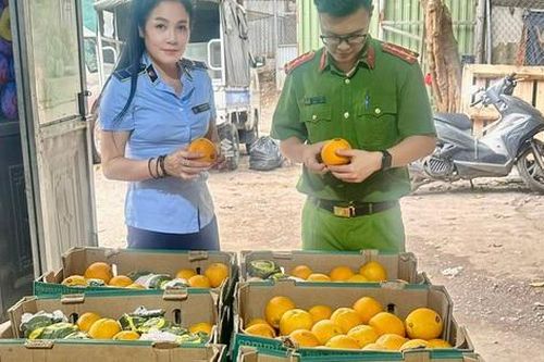 Kinh doanh gần nửa tấn hoa quả có dấu hiệu nhập lậu giữa Thủ Đô