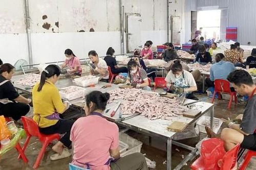 Quảng Ninh: Thu giữ 2 tấn chân vịt không rõ nguồn gốc