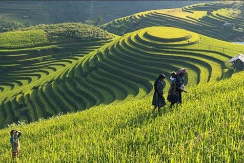 Báo nước ngoài nêu 9 nơi có cảnh đẹp nhất ở Việt Nam, nhất định nên ghé thăm