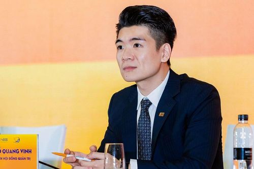 Ông Đỗ Quang Vinh rời ghế chủ tịch bảo hiểm BSH