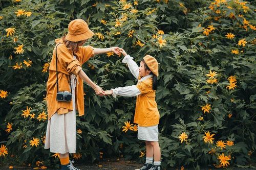 Đi đâu nghỉ lễ 30/4 - 1/5: Điểm đến ở Ba Vì tuyệt mỹ, giá rẻ