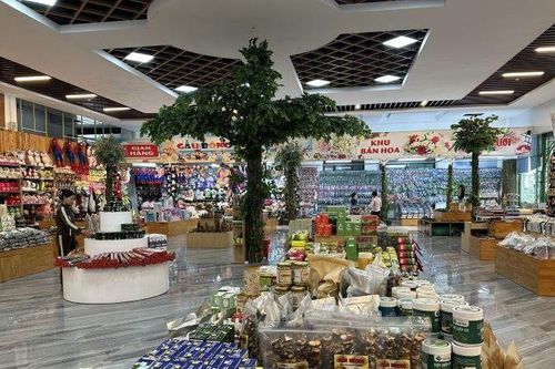 Nghiêm cấm hành vi dàn xếp, thông thầu các dự án giao thông
