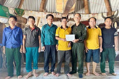 Quảng Nam: Giải cứu cá thể sơn dương quý hiếm bị mắc bẫy