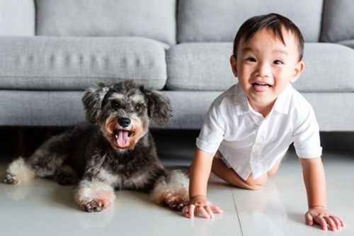 Dạy con chơi với thú cưng an toàn