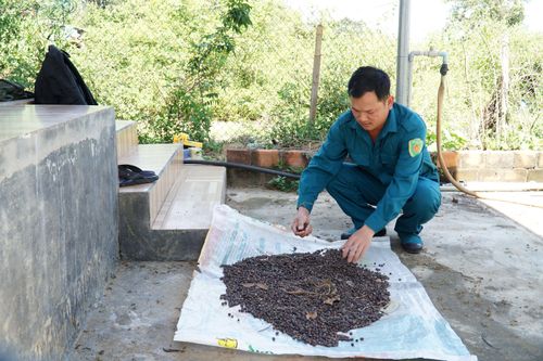 Nhiều người cao tuổi ở Kon Tum viết 'đơn xin thoát nghèo'